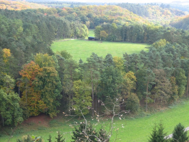 Saint-Michel - Borzée 2007